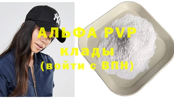 дмт Дмитриев