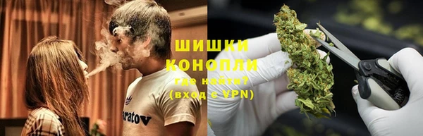дмт Дмитриев