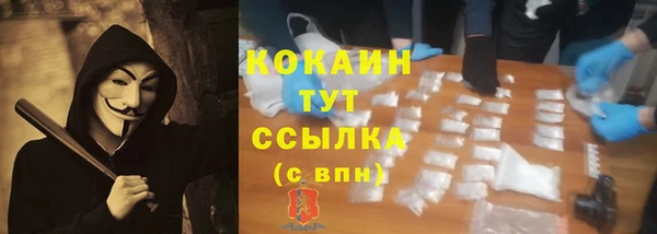 дмт Дмитриев