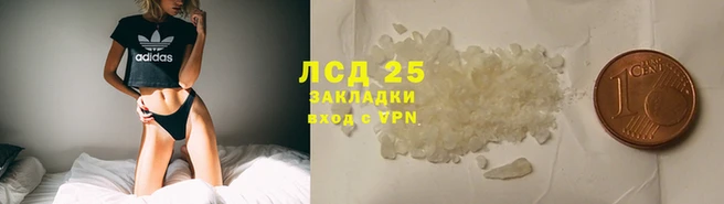 дмт Дмитриев